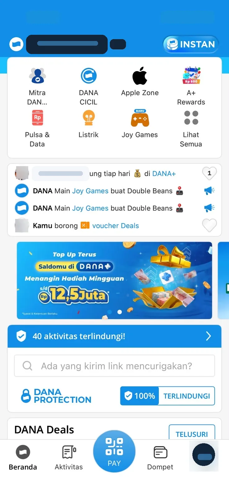 DANA home screen with masked balance and optimized slider banner